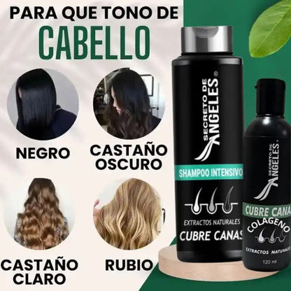 SH CURECANAS SECRETOS-50% selec